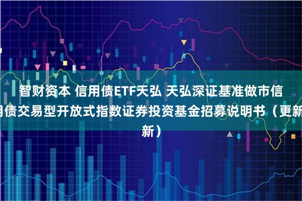 智财资本 信用债ETF天弘 天弘深证基准做市信用债交易型开放式指数证券投资基金招募说明书（更新）