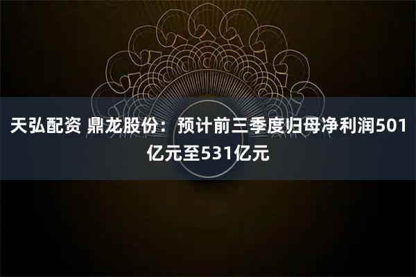 天弘配资 鼎龙股份：预计前三季度归母净利润501亿元至531亿元