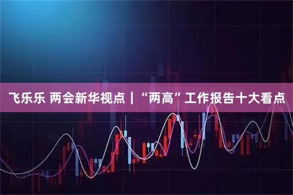 飞乐乐 两会新华视点｜“两高”工作报告十大看点