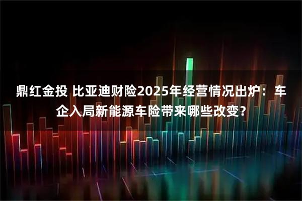 鼎红金投 比亚迪财险2025年经营情况出炉：车企入局新能源车险带来哪些改变？