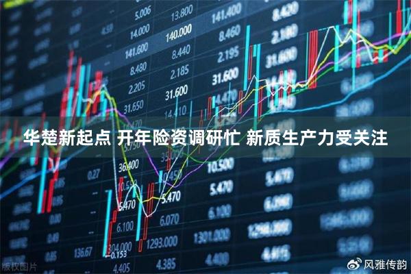 华楚新起点 开年险资调研忙 新质生产力受关注