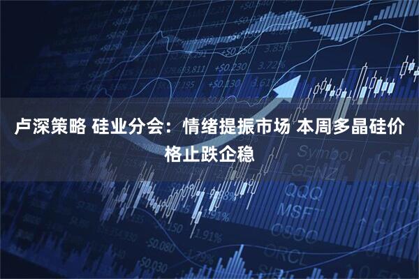 卢深策略 硅业分会：情绪提振市场 本周多晶硅价格止跌企稳