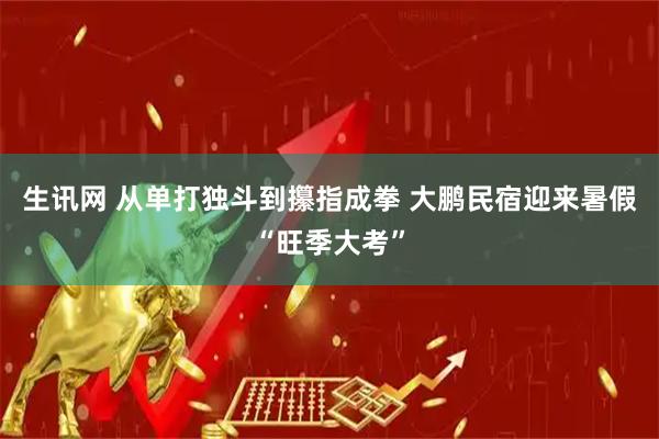 生讯网 从单打独斗到攥指成拳 大鹏民宿迎来暑假“旺季大考”