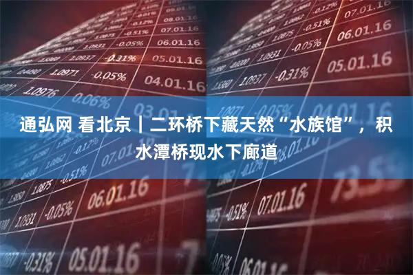 通弘网 看北京|二环桥下藏天然“水族馆”,积水潭桥现水下廊道